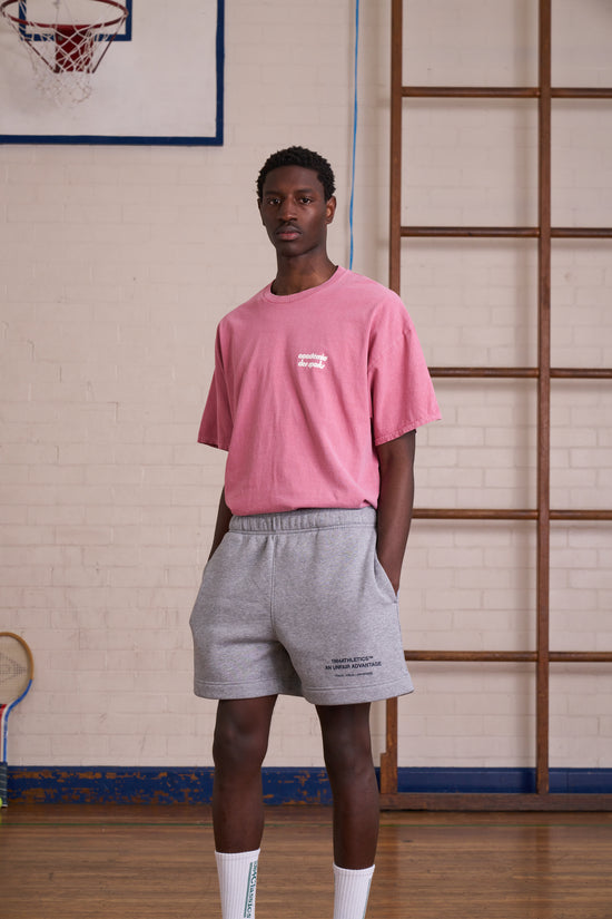Load image into Gallery viewer, Vice 84 *10 Years Of* &amp;#39;Baseline&amp;#39; Tee - Vintage Washed Pink
