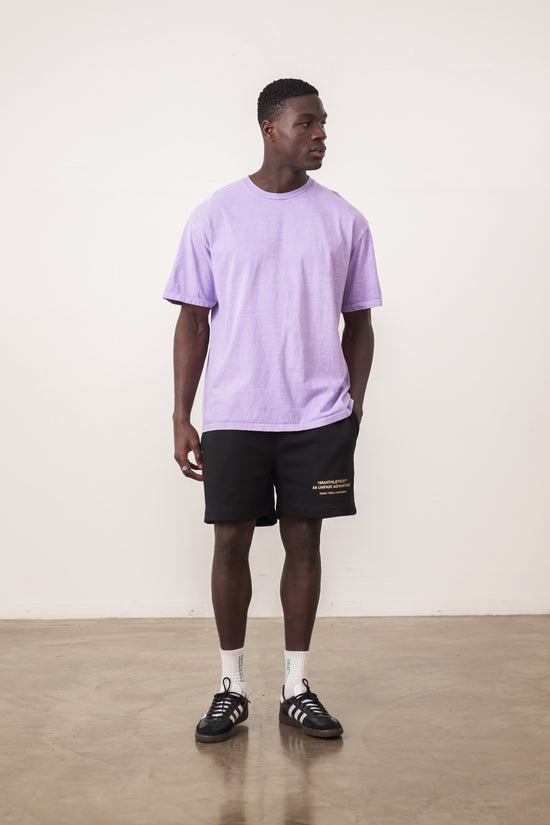 Essentials Vintage Washed Tee - Lilac