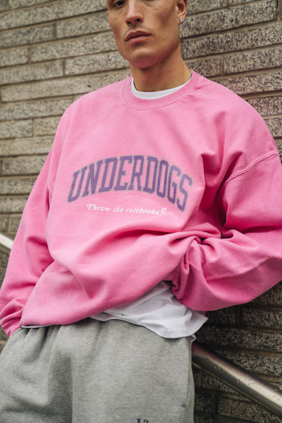 Load image into Gallery viewer, Vice 84 &amp;#39;Underdogs&amp;#39; Vintage Washed Sweater - Pink
