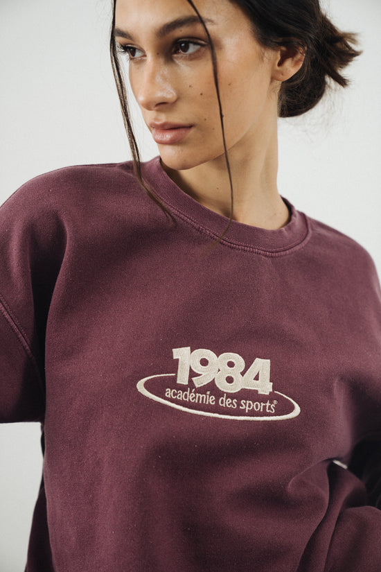 Vice 84 '1984 Disc' Embroidered Sweater - Vintage Washed Maroon