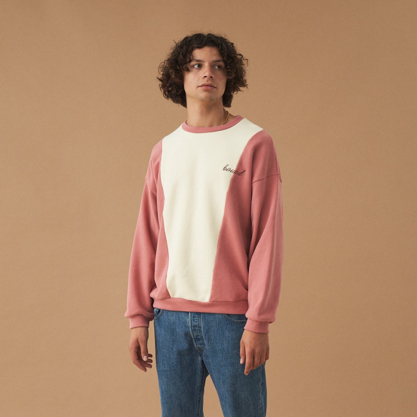 bound 'Berry Crème' Panel Sweater
