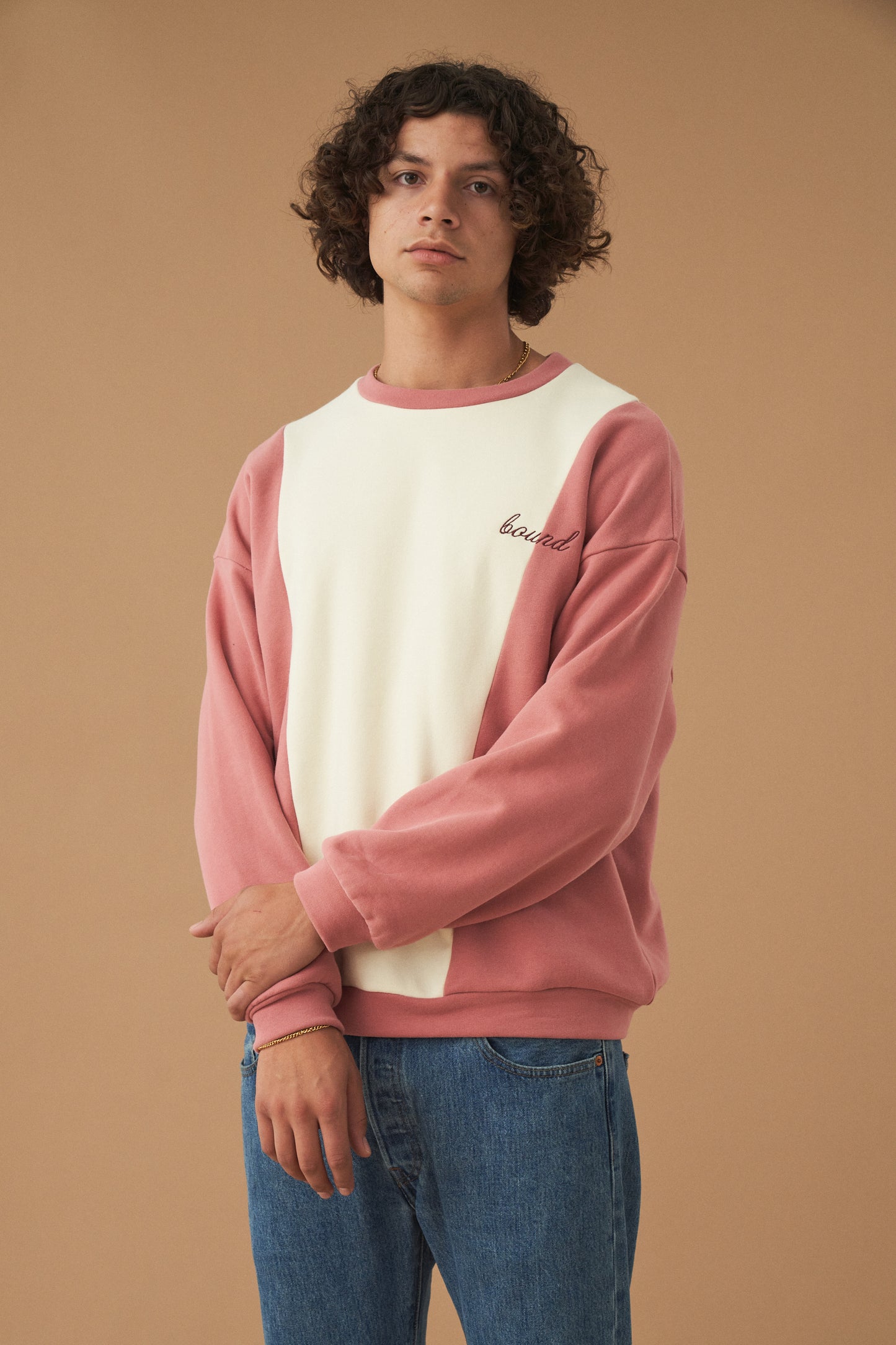 bound 'Berry Crème' Panel Sweater