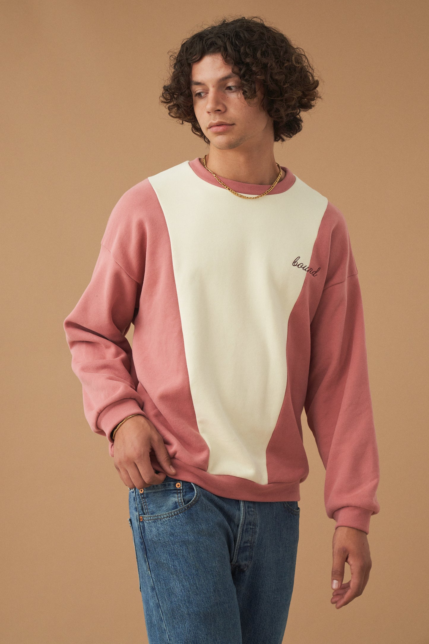 bound 'Berry Crème' Panel Sweater