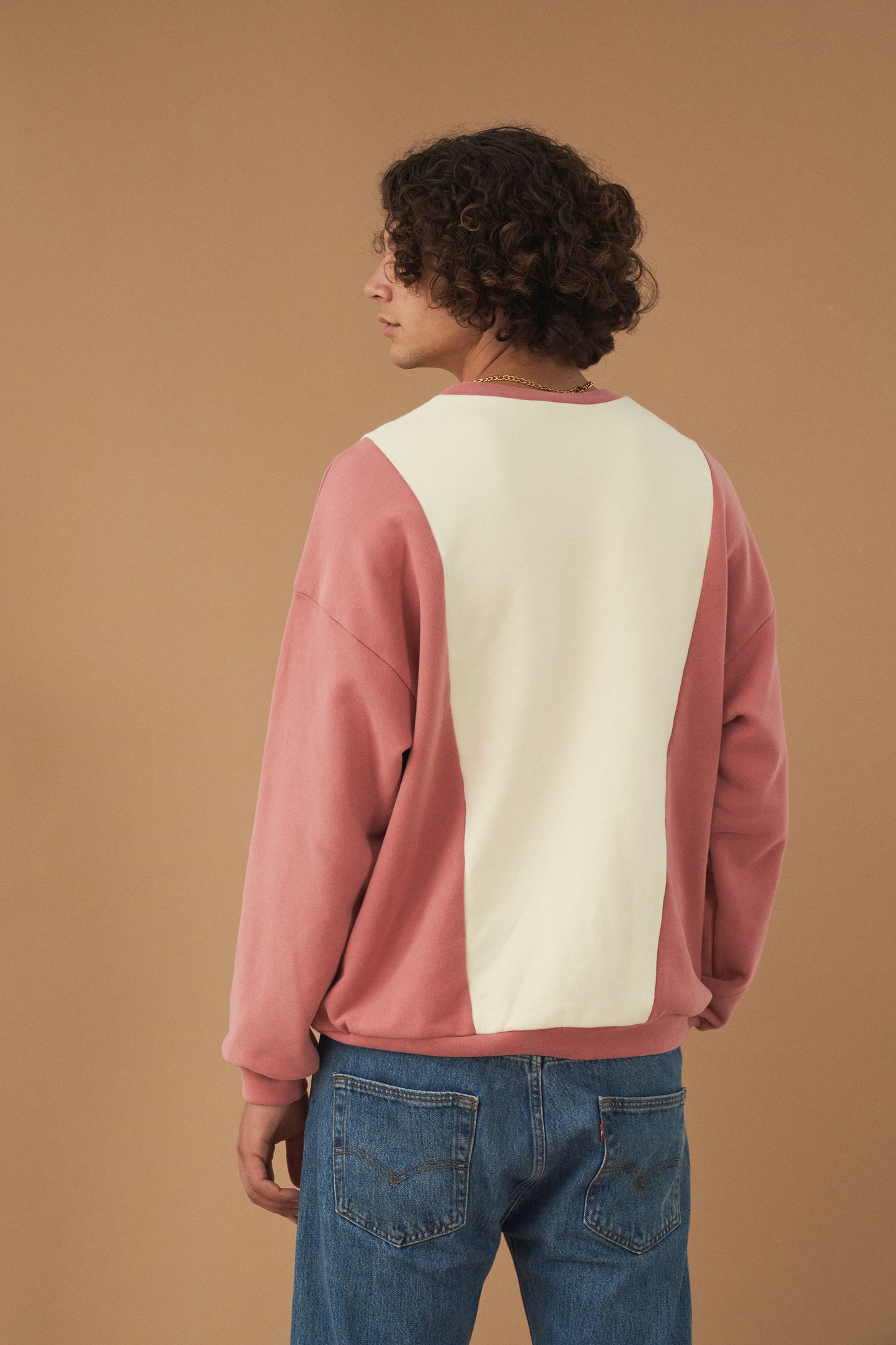 bound 'Berry Crème' Panel Sweater