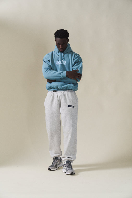 Load image into Gallery viewer, Vice 84 &amp;#39;Académie des Sports&amp;#39; Vintage Washed Hoodie - Arctic Blue
