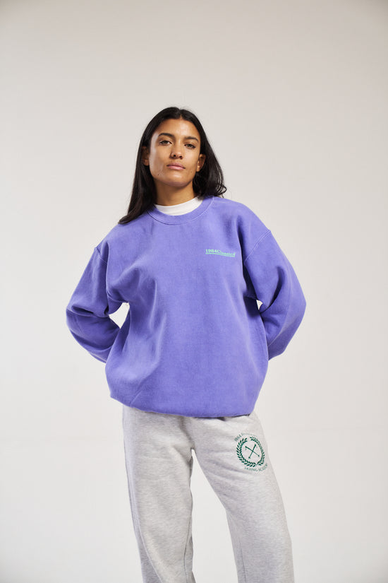 Vice 84 'Classics' Vintage Washed Sweater - Orchid