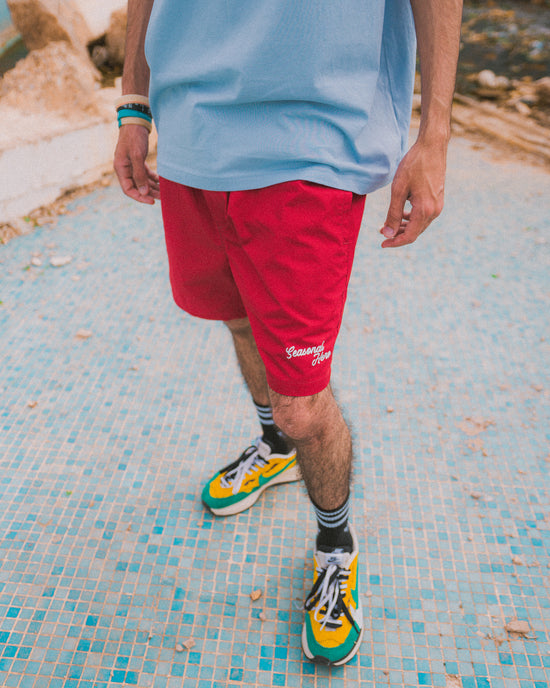 Seasonal Hero 'Script' Beach Shorts - Pistachio / Red / Mauve
