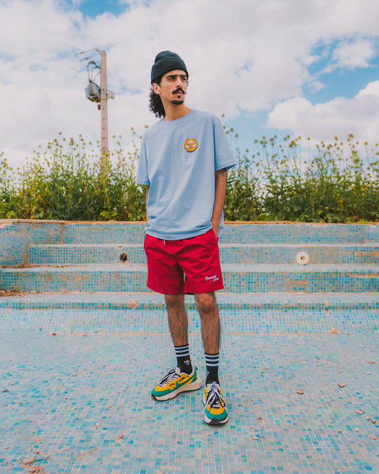 Seasonal Hero 'Script' Beach Shorts - Pistachio / Red / Mauve