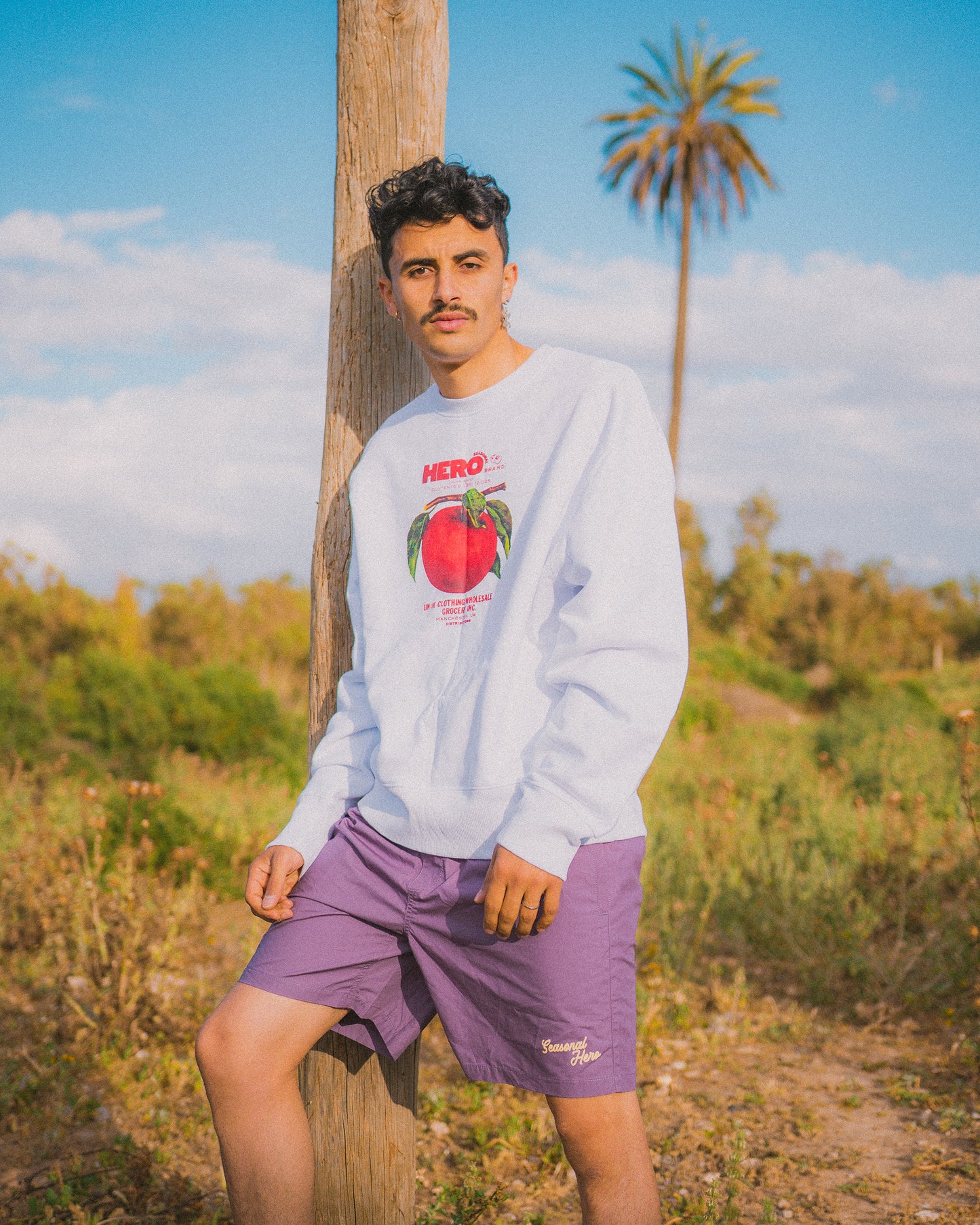 Seasonal Hero 'Script' Beach Shorts - Pistachio / Red / Mauve