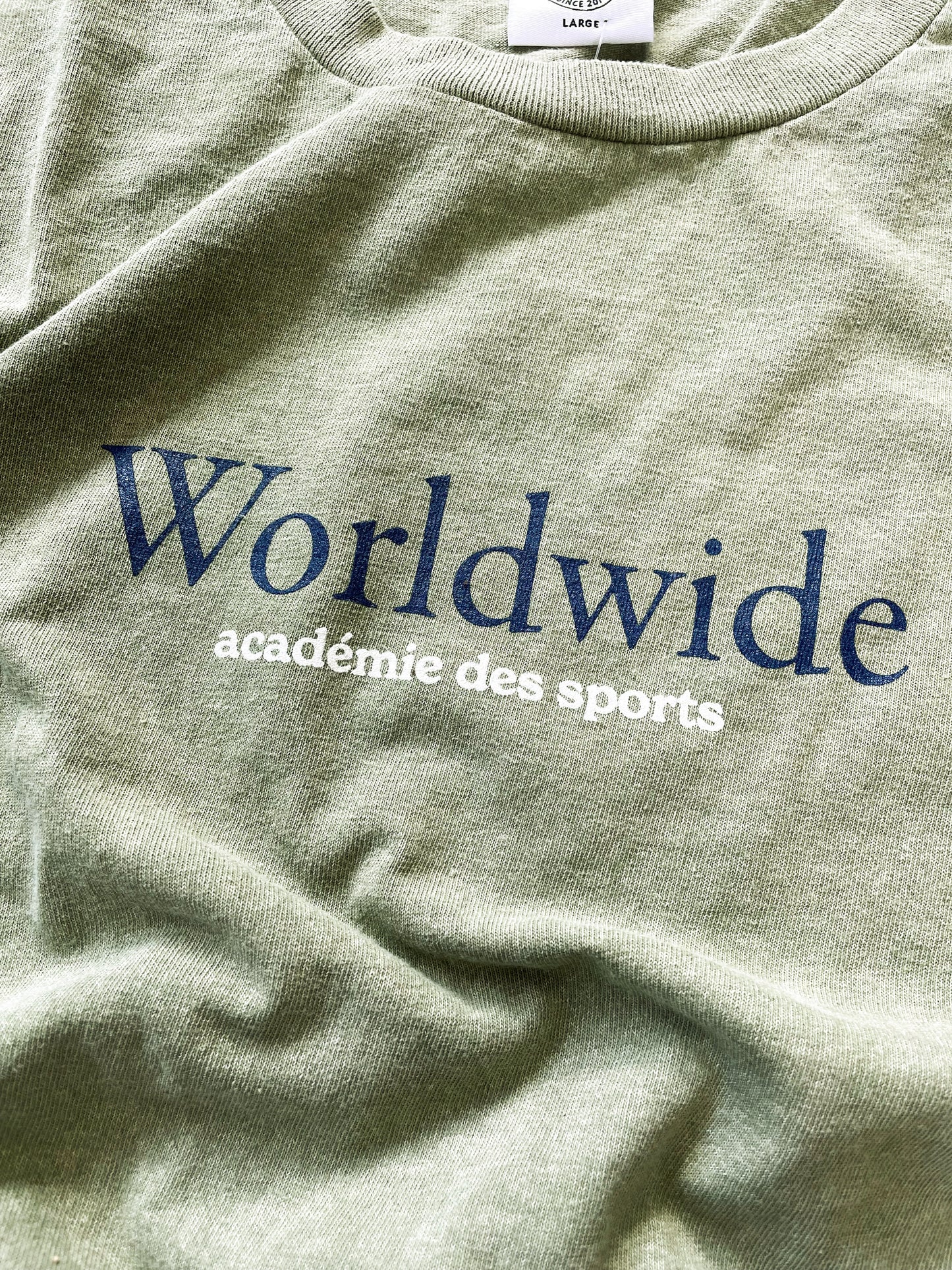 Vice 84 'Worldwide' Vintage Washed Tee - Sage